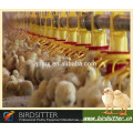 ready sale full automatic chicken raising machine for broiler chicken